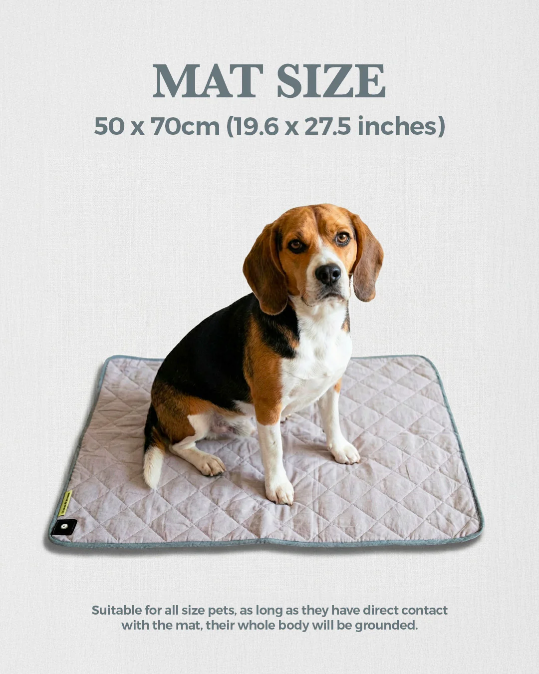 Grounding Pet Mat - Image 3
